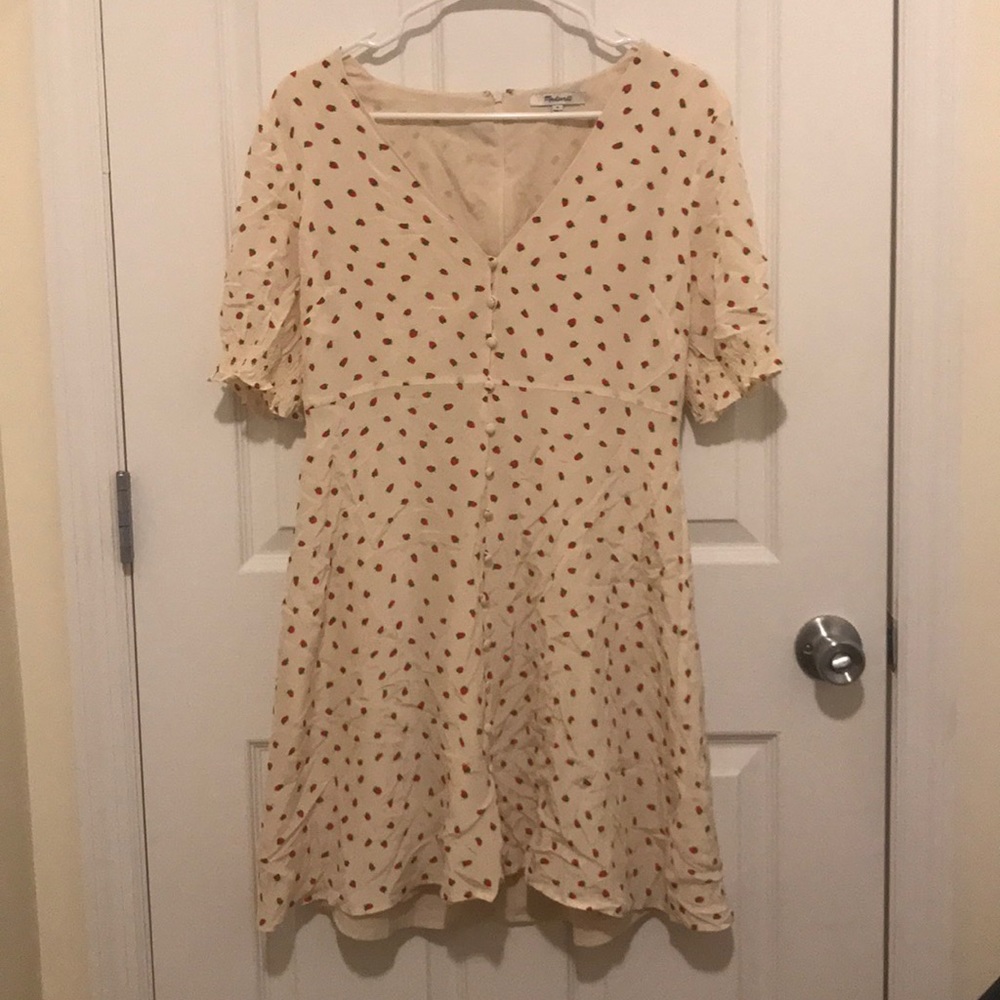 Madewell Strawberry Silk Dress NWOT Size 8